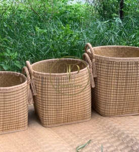 Chậu Đan Mây Mẫu 10