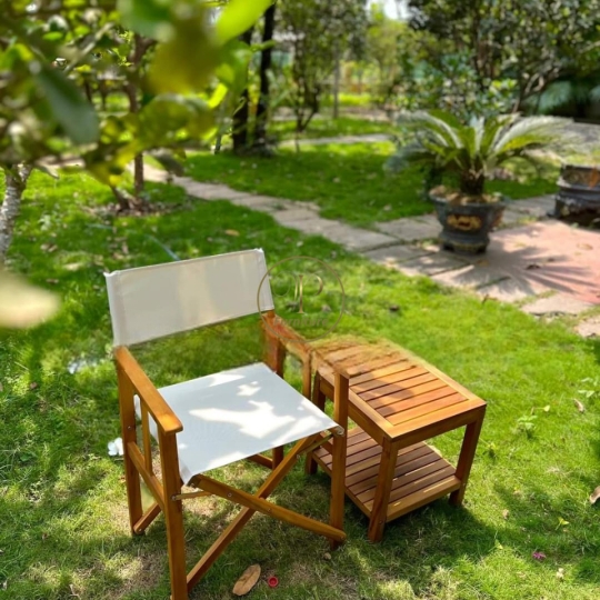 Ghế đạo diễn mẫu 2
