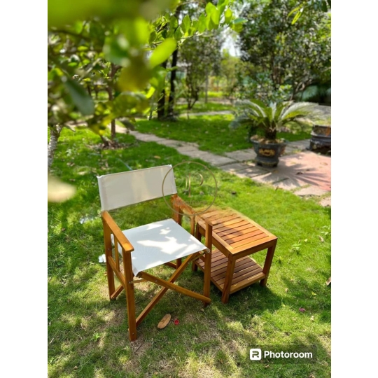 Ghế đạo diễn mẫu 2